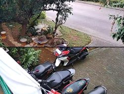 Indikasi Tekanan Non-Prosedural di Florence, Motor Bergelombang Picu Kekhawatiran